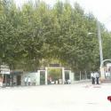 Le jardin public
