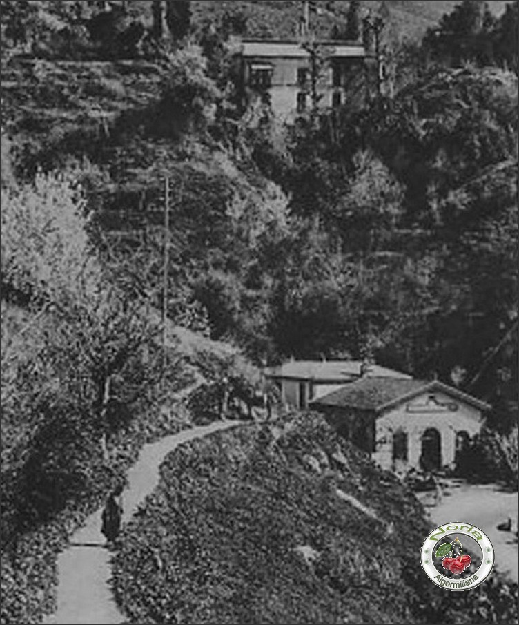 Zougala