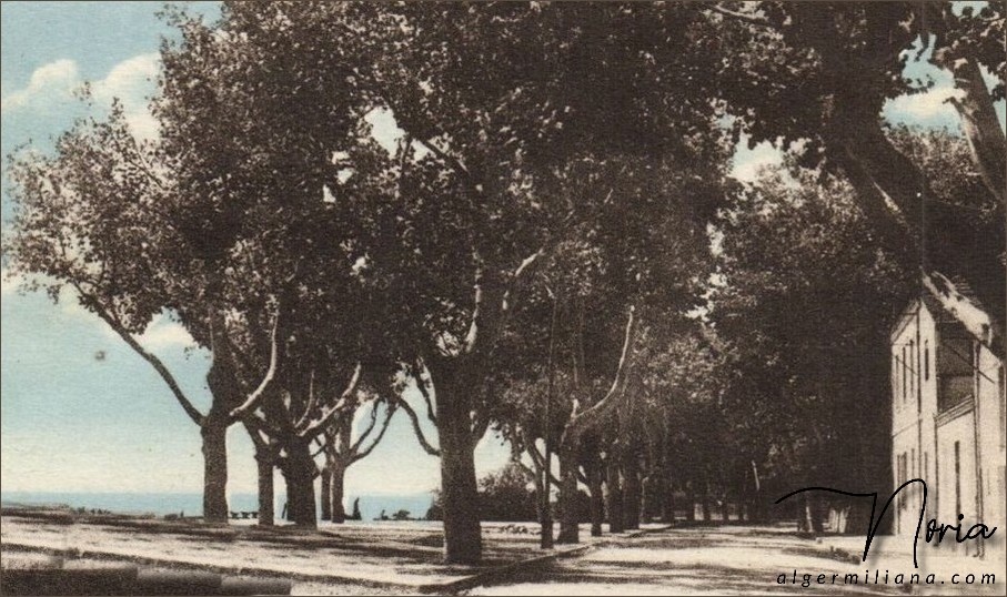 La Pointe des Blagueurs/L'esplanade