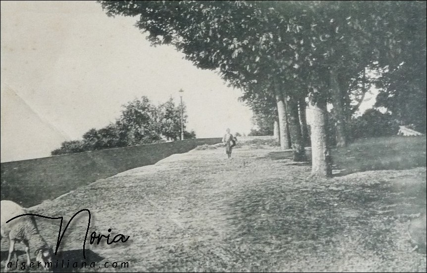 La Pointe des Blagueurs/L'esplanade