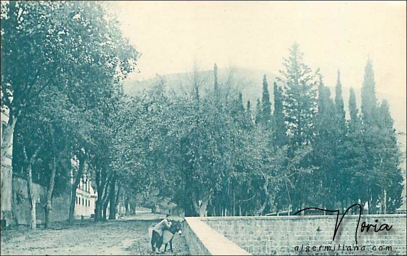 La Pointe des Blagueurs/L'esplanade