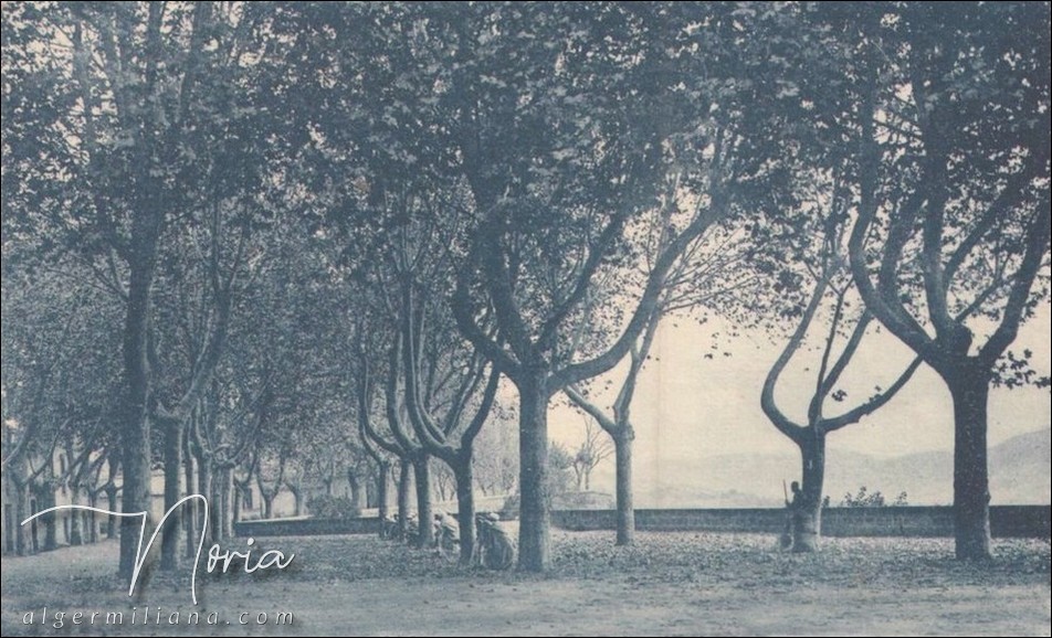 La Pointe des Blagueurs/L'esplanade