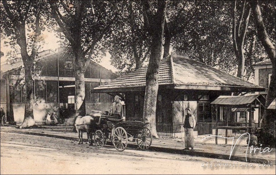 Marché couvert