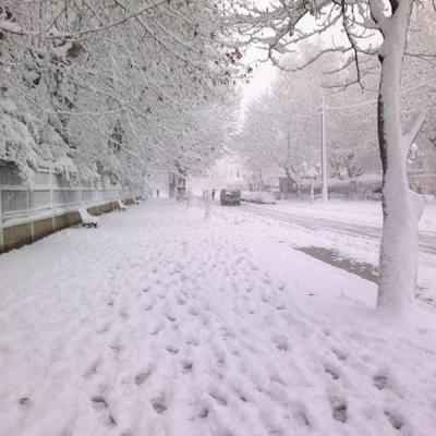 Miliana sous la neige