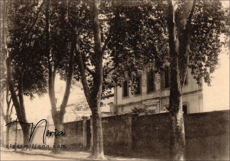 Lycée M.ABDOU/ ex : École Normale