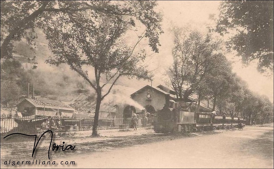 Train de minerai 