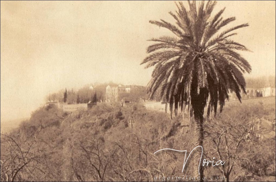 Vue d'ensemble