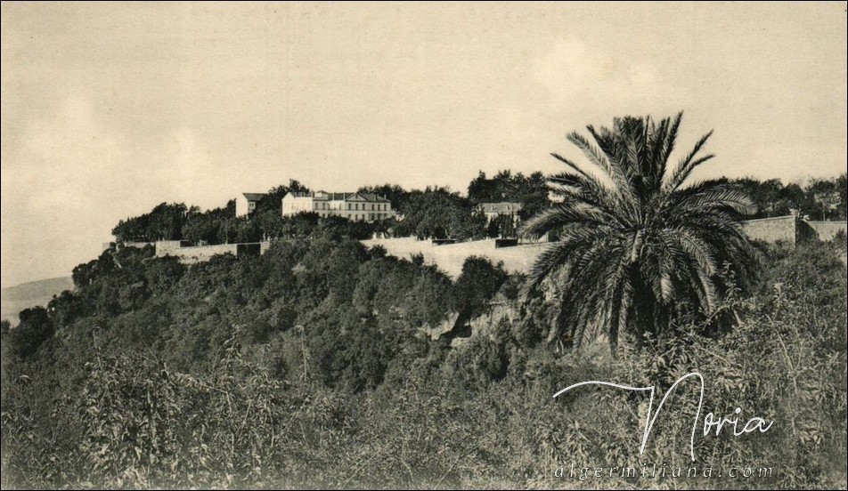 Vue panoramique