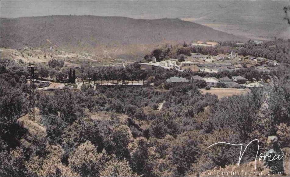 Vue panoramique