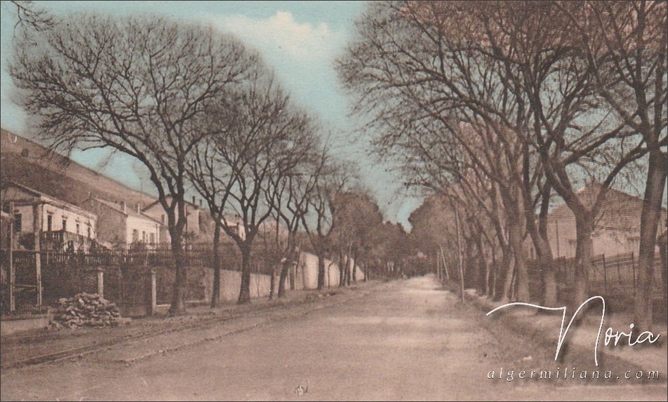 La route d'Alger