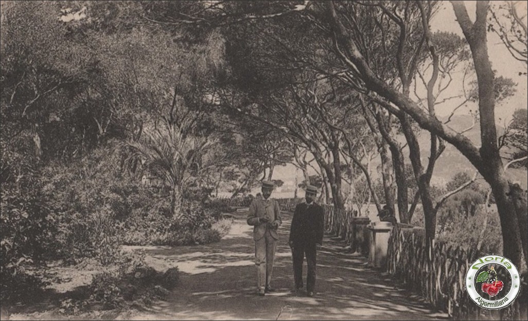 Jardin Marengo/ 1904