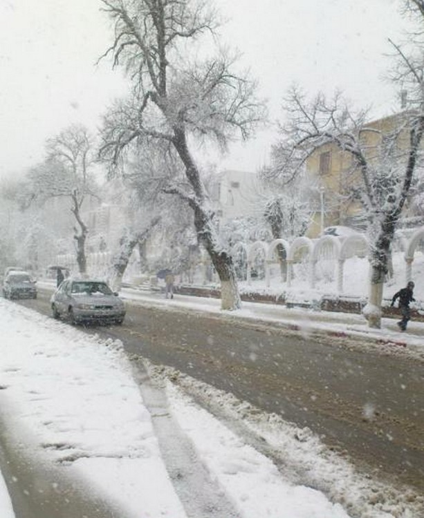 Miliana sous la neige