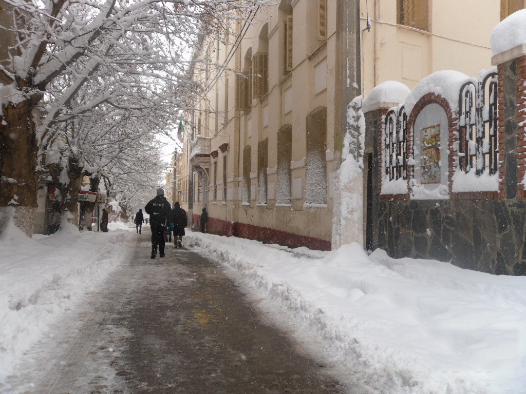 Lycée M.FERROUKHI