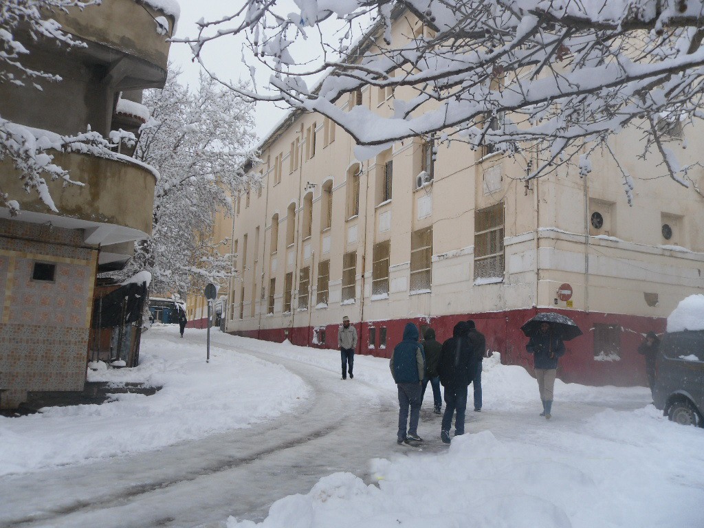 Lycée M.FERROUKHI