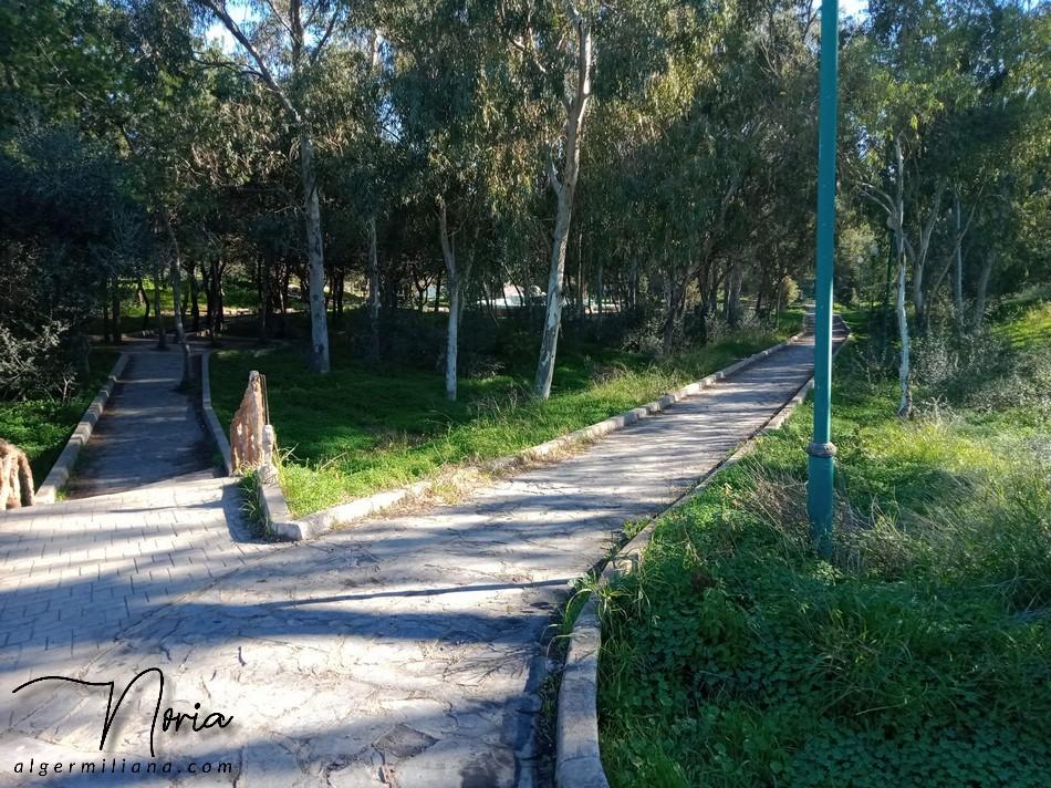 Forêt Khaled HOCINE/ ALGER