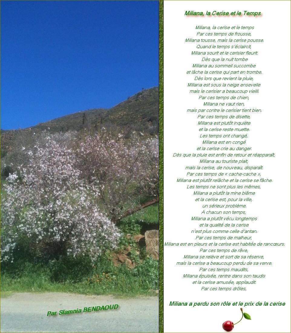 Miliana, la cerise et le temps !