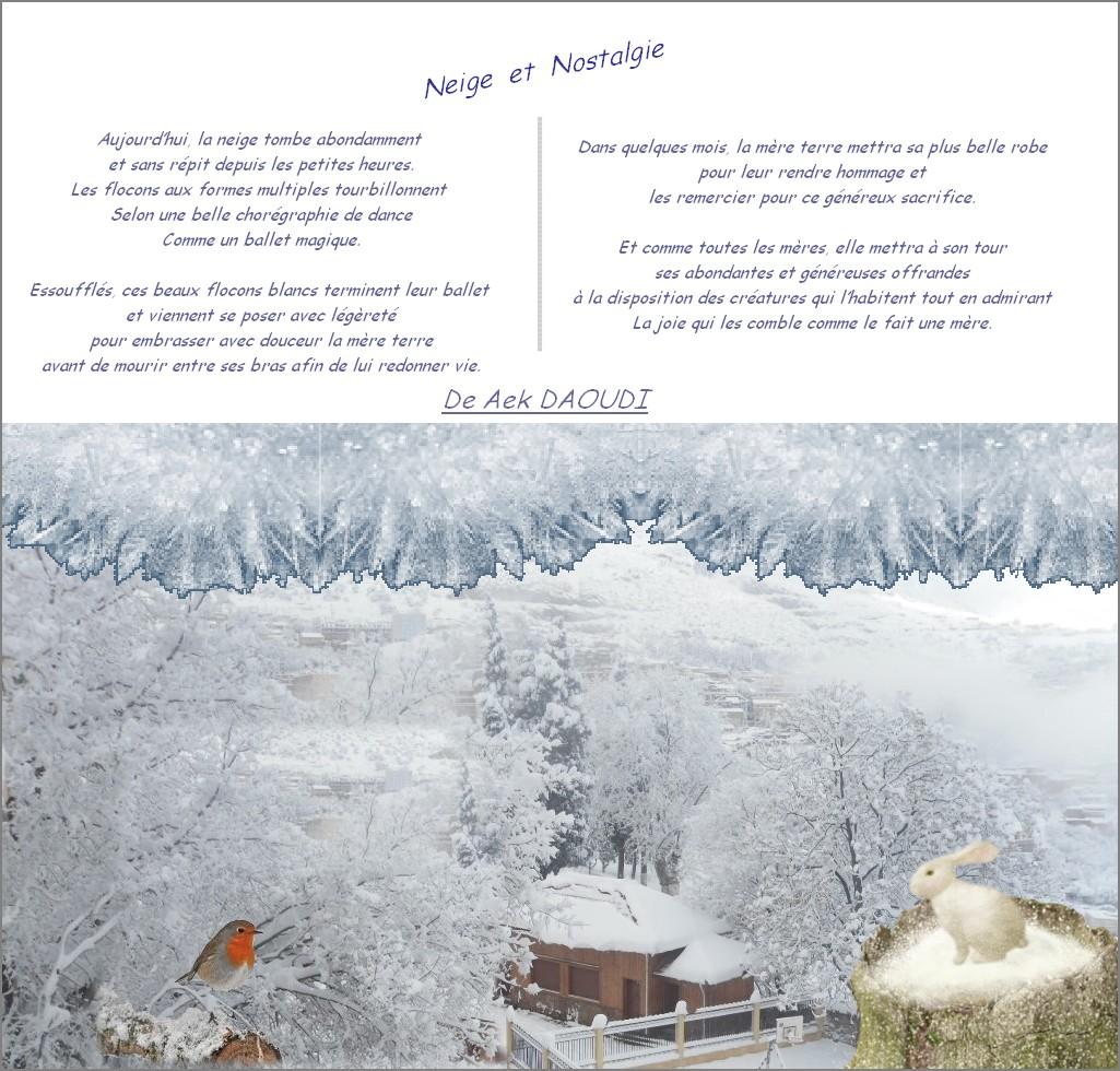 Neige & nostalgie