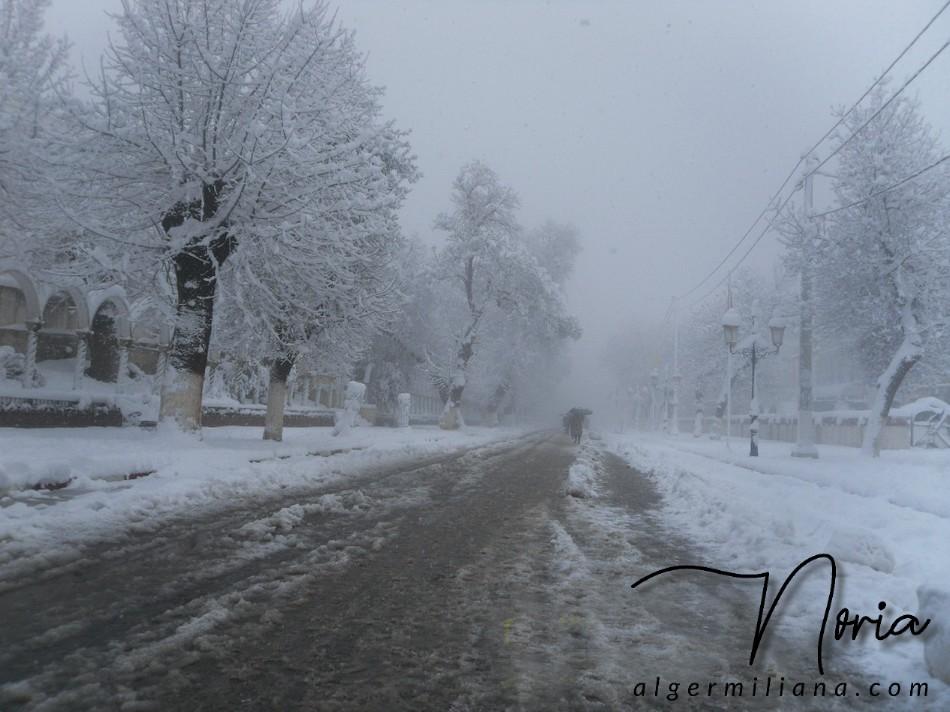 Miliana au coeur de l'hiver