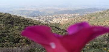 Destination Algérie