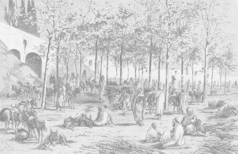 Miliana / 1876
